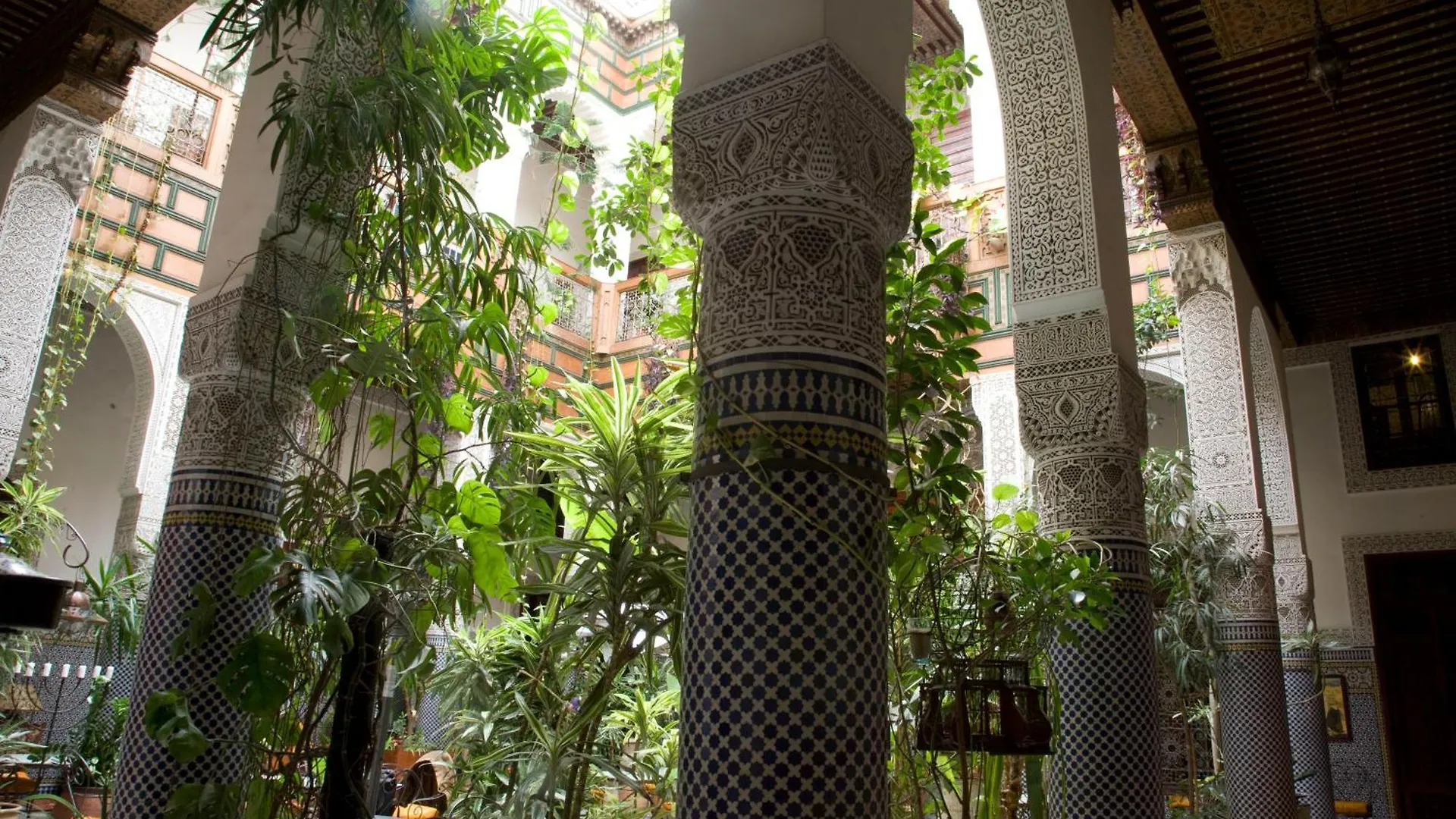 פס Riad Al Bartal