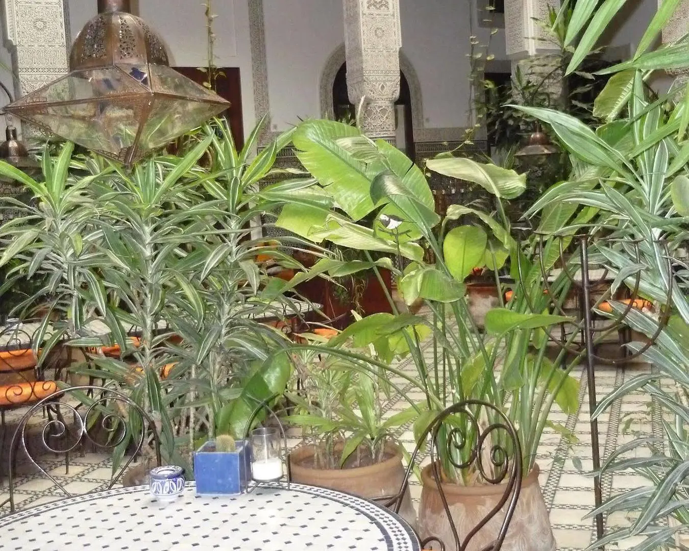 פס Riad Al Bartal 3*,
